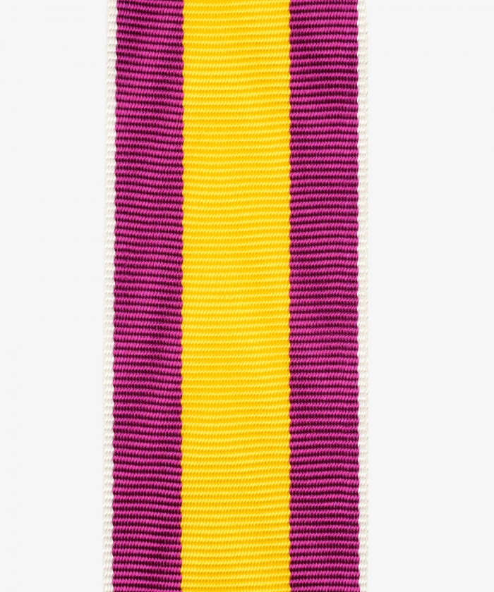 Baden, commemorative medals, war aid (138)